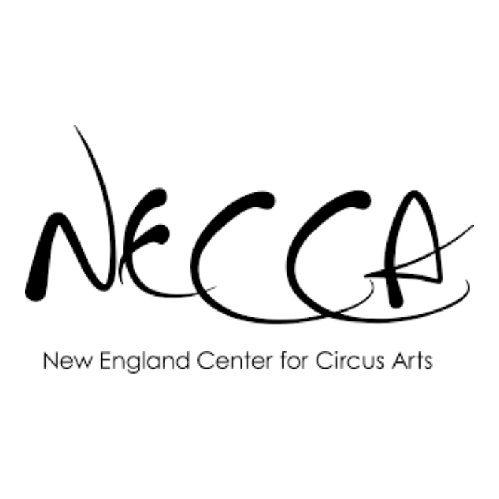 NECCA written in black on white background